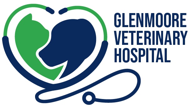 Glenmoore Veterinary Hospital