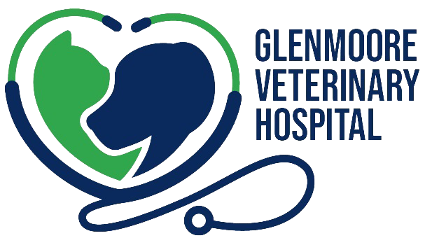 Glenmoore Veterinary Hospital Home