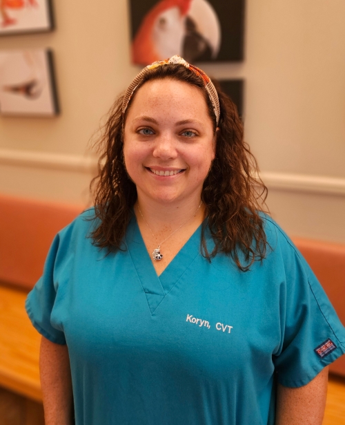 Koryn, CVT
